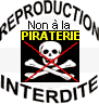 Ne piratez pas pronostics-turf.info